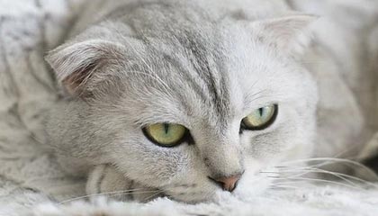 记者：德容和孔德今日被队友夹道欢迎，莱万将随队出战莱万特